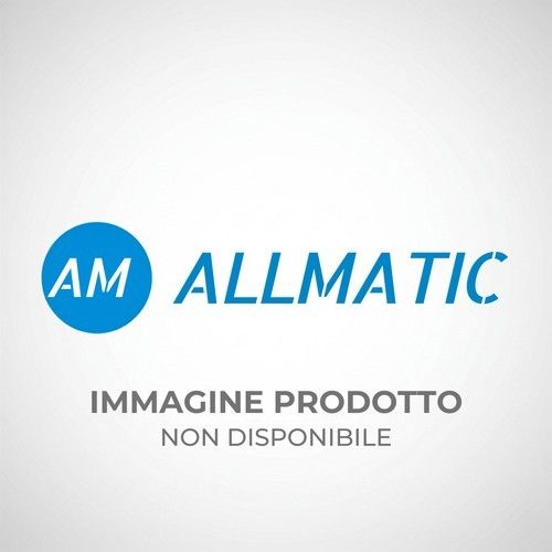 ALLMATIC 64102512 CARTER ANT. TECNO CAT PAINTED RAL 7040 BUCC.