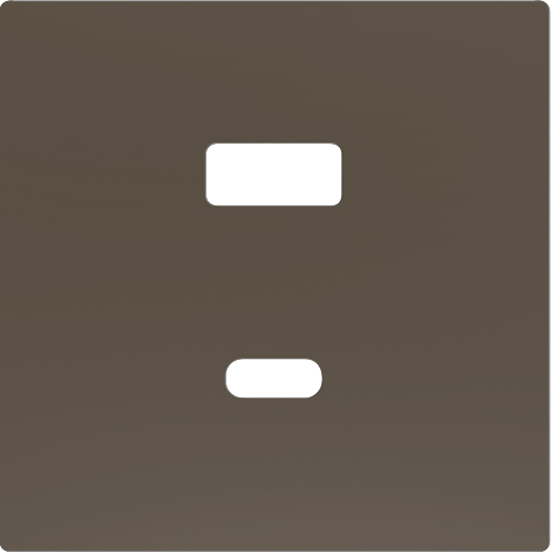 ZENNIO ZS55C2UCAM ZS55. Cover plate for double USB C+A charger 55x55