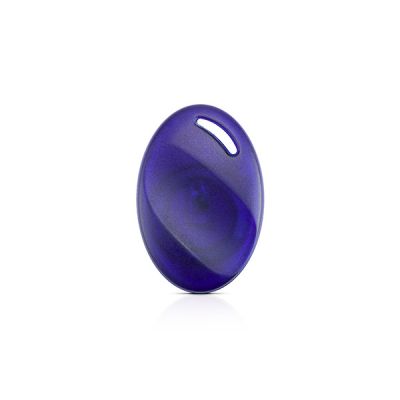 SATEL BR-STD-1 Oval Plastic Proximity Tag (125kHz)