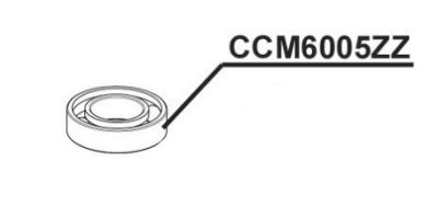 RIB CCM6005ZZ CUSC. MOT. 6005ZZ ME (C3)
