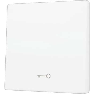 ZENNIO ZS55CSOFT11KMW ZS55. Cover for Simple KNX Soft push button 55x55