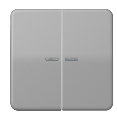 JUNG CD10921STRFGR Pulsante KNX RF, 2 canali, grigio
