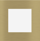 EKINEX EK-PQP-GBB Square FF/71 (Form/Flank/NF) plate Plastic - 1 window
