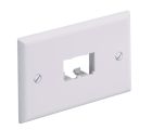 PANDUIT CFPH2BL Faceplate- 2 Port- Single Gang- Horizonal- Black
