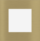 EKINEX EK-SQG-GBB Placca Surface (71 e 20Venti ) quadrata colore ottone
