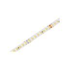NICE 591.090500 RGB LED Strip Tubular Motor, IP67, 60 W/m, no