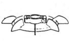 RIB CVA1381 MOTOR.ECO R.UF71 01018042 FAN