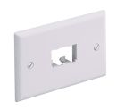 PANDUIT CFPH2AW Faceplate- 2 Port- Single Gang- Horizonal- Arctic