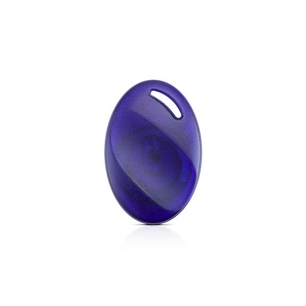 SATEL BR-STD-1 Oval Plastic Proximity Tag (125kHz)