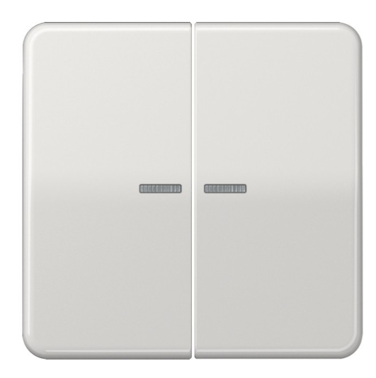 JUNG CD10921STRFLG Pulsante KNX RF, 2 canali, grigio chiaro