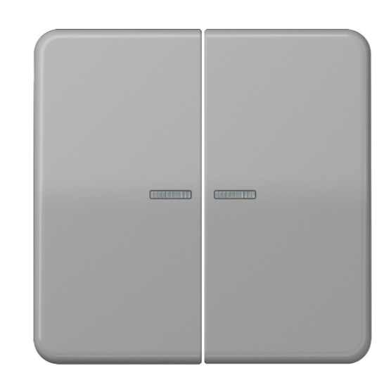 JUNG CD10921STRFGR Pulsante KNX RF, 2 canali, grigio