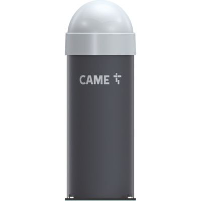 CAME 803BC-0030 CAT2NNGS Pillar with counterweight