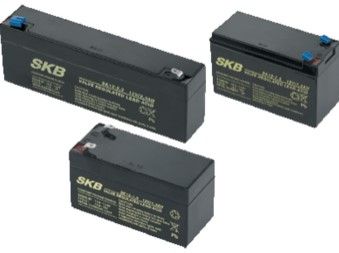 CAME 846XG-0040 BB180 SEALED ACCUMULATOR