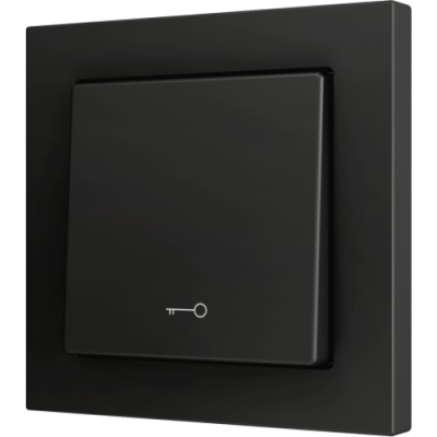 ZENNIO ZS551PB1KA ZS55. Simple Soft push button for 1 binary input 5