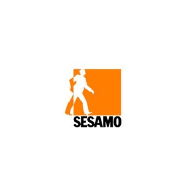 SESAMO PR05.15 Complete trolley for quick door/Carriage compl