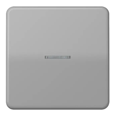 JUNG CD10911STRFGR Pulsante KNX RF, 1 canale, grigio