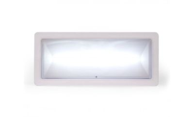 INIM FIRE DXBA240142 DEXIA series BUS supervised high flow emergency lighting lamp