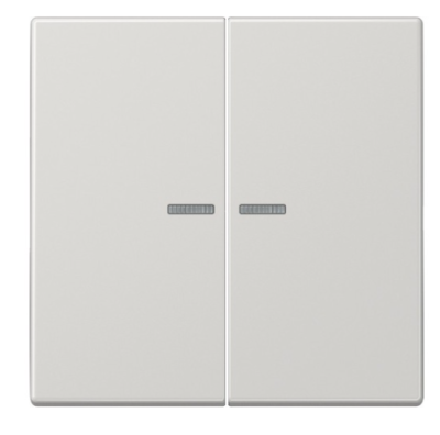 JUNG LS10921STRFLG Pulsante KNX RF, 2 canali, grigio chiaro