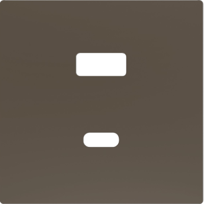 ZENNIO ZS55C2UCAM ZS55. Cover plate for double USB C+A charger 55x55