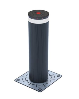 FAAC 117111 Dissuasore Di Sicurezza Rimovibile JS 48 R