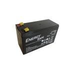 PLEXA BATT. 12/6 12V 6Ah lead acid battery