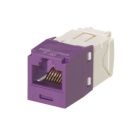 PANDUIT CJ688TGVL Mini-Com Module- Cat 6- UTP- 8 pos 8 wire- Univers