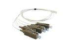 BETA CAVI PTUSCOM305 Pig Tail SC UPC OM3 0.5 mt